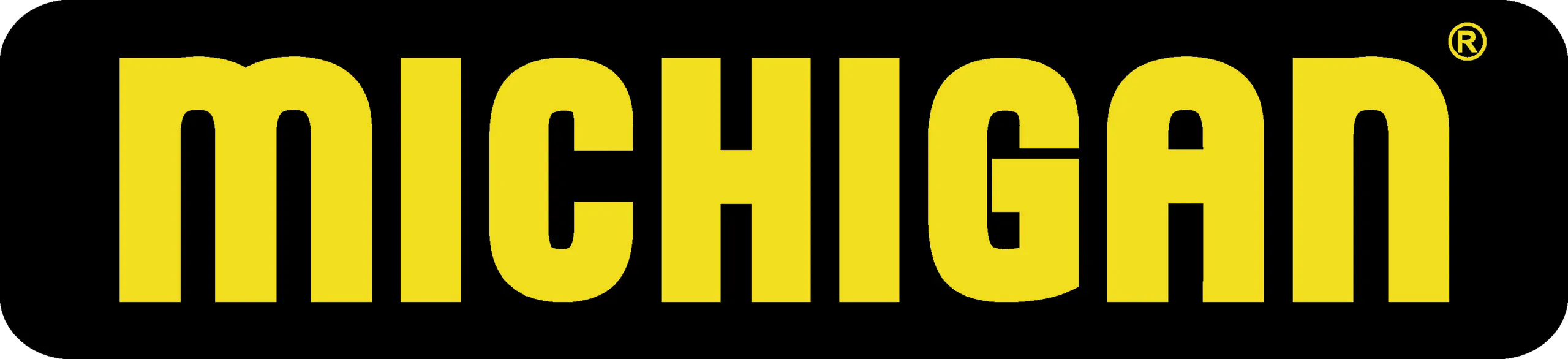 10 MICHIGAN